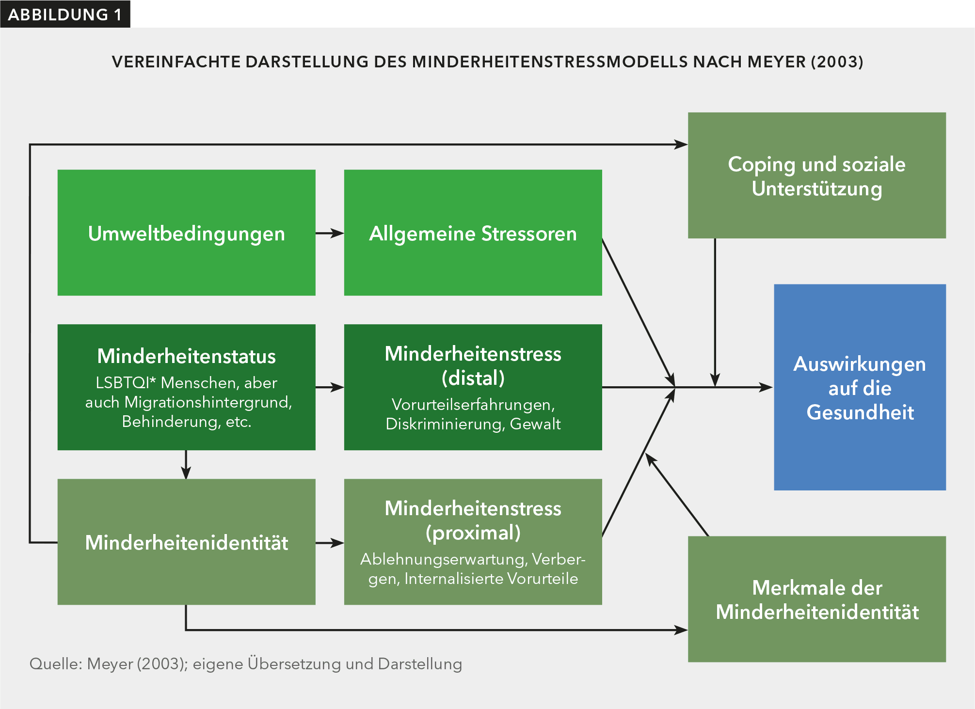 Abbildung 1 zeigt ein Modell, das die Auswirkungen von Minderheitenstress auf die Gesundheit darstellt. Es besteht aus mehreren farblich unterschiedlichen Kästchen, die durch Pfeile miteinander verbunden sind.